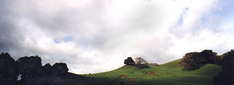 saklan banner